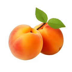 Apricot fruit with a complete, unblemished body against a clear, transparent backdrop.