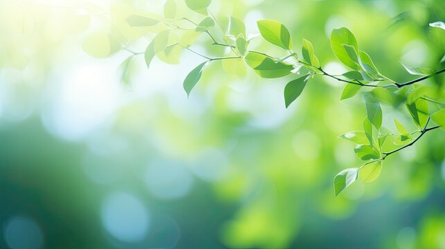 Beautiful green leaves on blurred background, space for text. Spring season