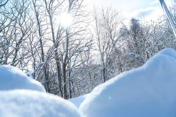 Morningside Park in snowy winter, picturesque wonderland, for visitors to enjoy. Trees blanketed in a layer of pristine white snow. Park used for healthy activities, snowshoeing, skiing.