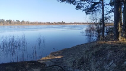 In early spring, the river has a fast current and a lot of water, which flooded the coastal bushes. On the sandy banks are pine and deciduous trees without leaves yet. Sunny weather and blue sky