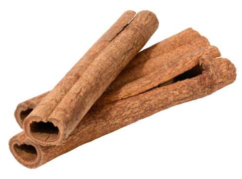 Brown cinnamon stick on white background, spice