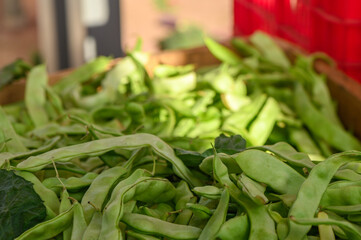 fresh pods of green beans at the local market 1