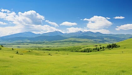 Fototapeta premium serene green fields stretching to the horizon under a blue sky with fluffy white clouds