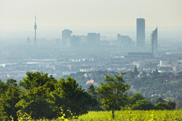 Blick über Wien vom Cobenzl, Weingut Cobenzl, Donauturm, 19. Bezirk, Döbling, Wien, Österreich