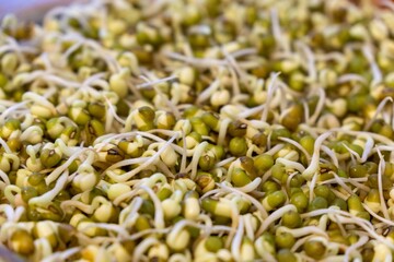 Mungo bean sprouts in the bowl in the kitchen - detail. Slovakia