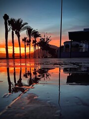 REFLEJO DE PALMERAS EN EL AGUA DEL SUELO CON LA LUZ DEL ATARDECER