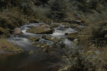 Long exposure shot of the flowing water of a rocky river in the forest