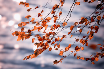 Krajobraz jesienny, staw i jesienne liście - obrazy, fototapety, plakaty