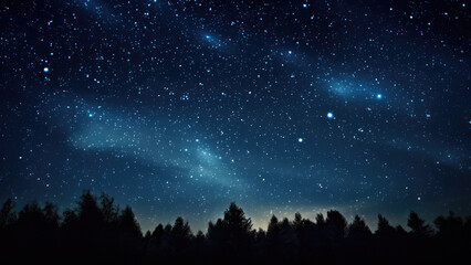 Fototapeta na wymiar Starry Night Landscape
