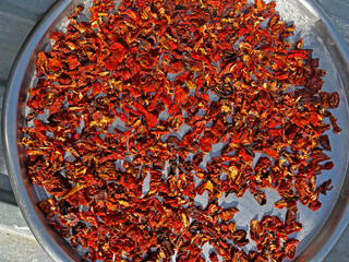 Peppers dried in trays for the winter.