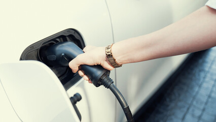 Progressive businesswoman install charger plug from charging station to his electric car before...