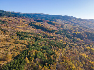 Fototapeta na wymiar Aerial Autumn view of Vitosha Mountain, Bulgaria