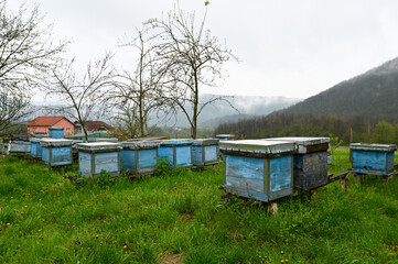 Fototapeta na wymiar Wooden houses for bees on a bee farm, a beehive in an apiary.