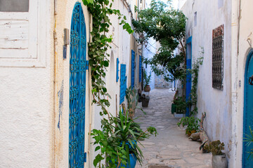 Narrow, romantic streets between houses in Medina Old Town Hammamet, Tunisia