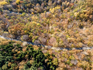 Naklejka na ściany i meble Aerial Autumn view of Vitosha Mountain, Bulgaria
