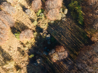 Aerial Autumn view of Vitosha Mountain, Bulgaria