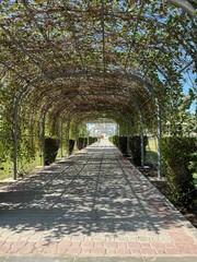 Beautiful view of the park archway with grown plants