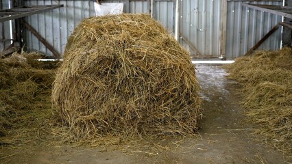 Hay in the barn for winter feeding. Hay is stored on a farm for agriculture, livestock feed, ranch...