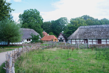 Fototapeta na wymiar Traditional nordic houses, in a rural town.