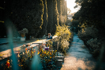 Intimate garden scene, a quiet Montpellier retreat.