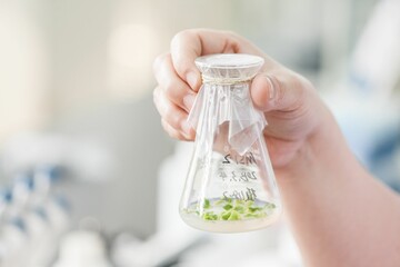 Closeup shot of a person holding a glass container with a plant