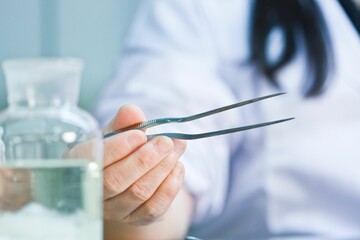 Closeup of a person putting plants in a glass test tube for propagation in a laboratory