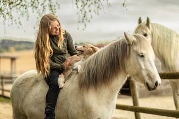 Horse and dog concept: A young female equestrian and her dog on her icelandic horse in front of a...