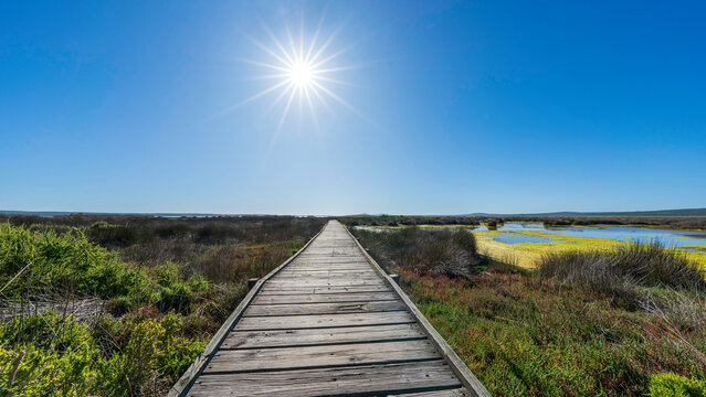 Geelbek Bird Lookout, West Coast National Park, South Africa