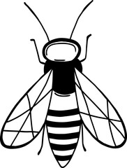 Bee insect in hand drawn outline style