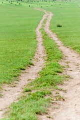 Fototapeta na wymiar Vertical shot of a road through a field