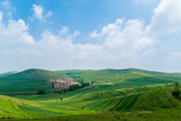 Obraz premium Meadow under a cloudy sky on a clear day