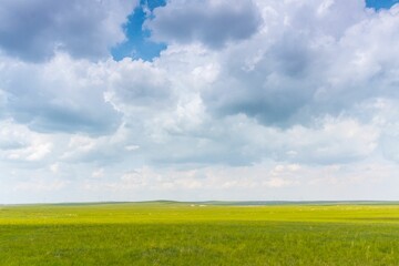 Fototapeta premium Beautiful shot of an empty green field under a blue sky