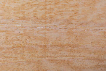 Naklejka premium Light rough textured cut surface of an African tree. Wood background or blank for design