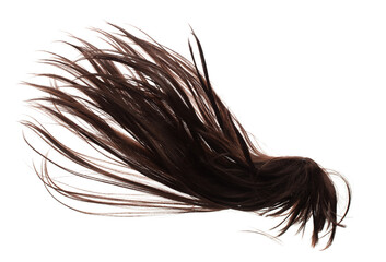 Wind blow Long straight Wig hair style fly fall. Brown woman wig hair float in mid air. Straight...