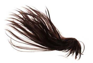 Wind blow Long straight Wig hair style fly fall. Brown woman wig hair float in mid air. Straight brown black wig hair wind blow cloud throw. White background isolated detail motion