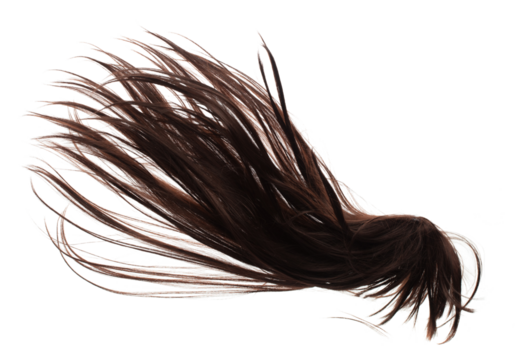 Wind blow Long straight Wig hair style fly fall. Brown woman wig hair float in mid air. Straight brown black wig hair wind blow cloud throw. White background isolated detail motion