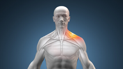 Fototapeta na wymiar Human male with shoulder joint pain