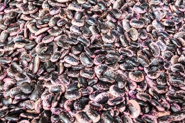 Closeup of purple kidney beans