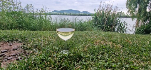  glass of white wine on the bank of nove mlyny reservoir