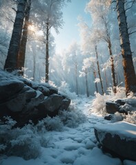 winter frozen forest