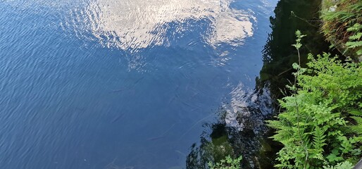 Nestled amid the picturesque landscapes of the Austrian Alps, Lake Piburg enchants with its crystal-clear waters and scenic surroundings. Surrounded by lush forests and majestic mountains, the lake 