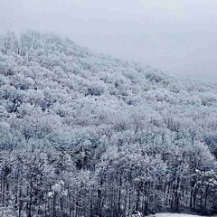 Snow on the mountain