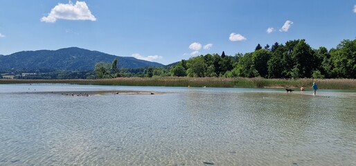 Lake Tegernsee in germany and irises on the bank blooming