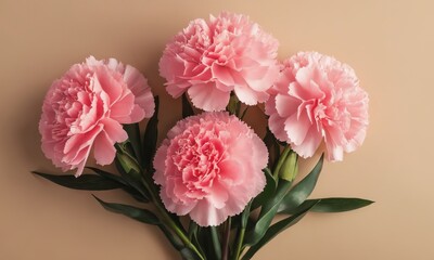 Pink carnation flowers bouquet on tan background 