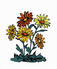 bouquet of flowers on a white background