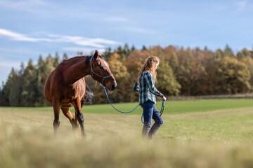 A female equestrian during basic work in natural horsemanship with her bay brown trotter horse in...