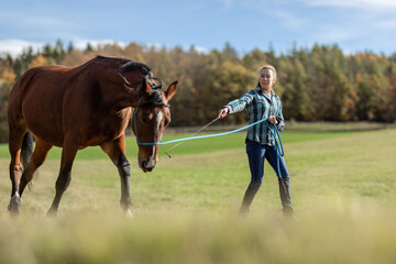 A female equestrian during basic work in natural horsemanship with her bay brown trotter horse in...