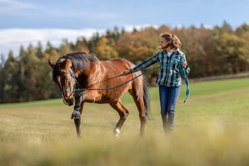 A female equestrian during basic work in natural horsemanship with her bay brown trotter horse in...