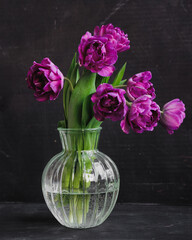 bouquet of dark red lilac tulips in glass vase on dark background. flower bouquet in vase on table. Gift interior decoration. florist, decorator. Flower shop.