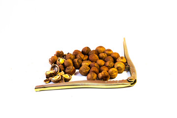 Hazelnuts on a white background and pliers for eating them